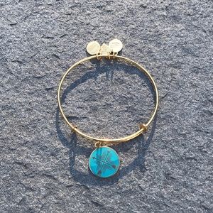 Alex and Ani Charm Bangle